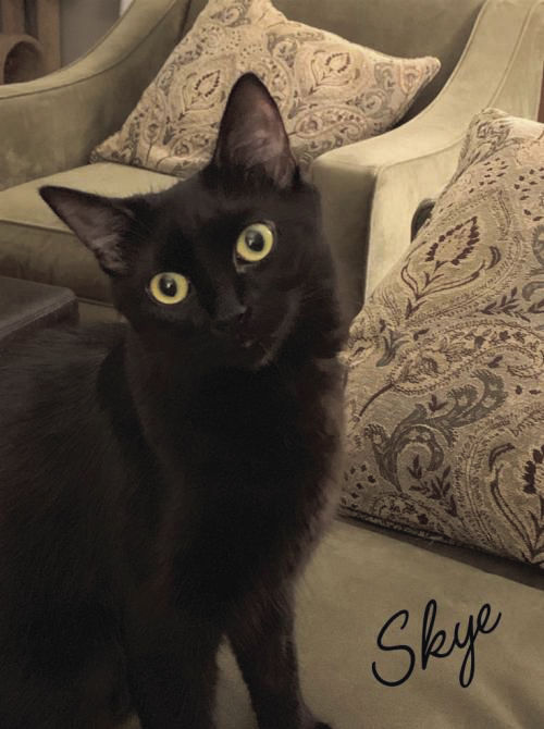 Skye